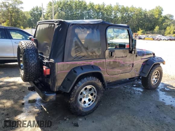 2000 Jeep Wrangler SE with VIN 1J4FA29P8YP784721, listed as a Copart auction lot 82079075 with 157,084 mi miles and Clean title. Bid and sale history available at DreamBid. Image 3.