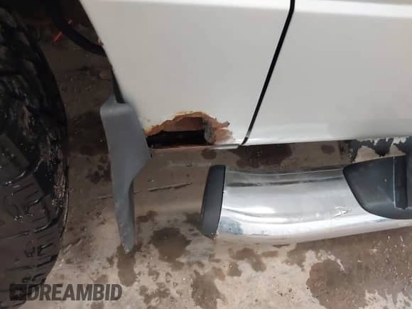 2009 Ford F-150 XL with VIN 1FTRW14869FA32733, listed as a IAAI auction lot 42707066 with 177,248 mi miles and . Bid and sale history available at DreamBid. Image 18.