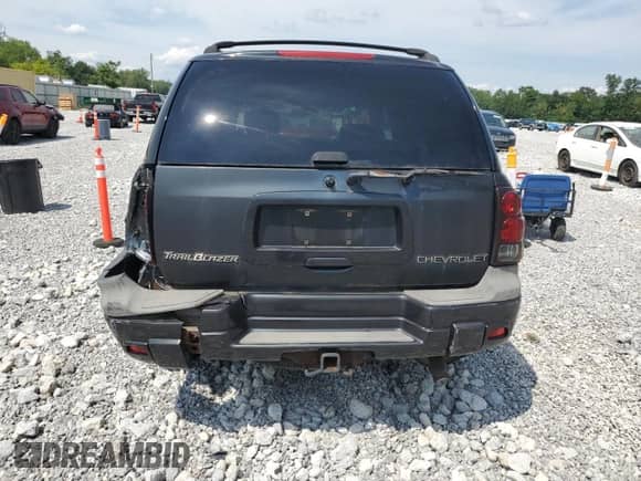 2003 Chevrolet TrailBlazer LS z VIN 1GNDS13S032236131, wystawiony jako Copart lot #66608685 z przebiegiem Nie podano mil oraz Szkoda całkowita • Salvage title. Historia ofert i sprzedaży dostępna na DreamBid. Obrazek 6.