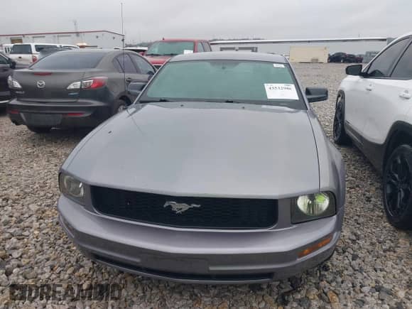 2007 Ford Mustang Deluxe z VIN 1ZVHT80N875216497, wystawiony jako IAAI lot #43532986 z przebiegiem 206 216 mil mil oraz . Historia ofert i sprzedaży dostępna na DreamBid. Obrazek 6.
