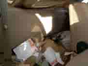 1997 Dodge 1500 с VIN 3B7HF13Z6VG788187, выставлен на аукционе Copart как лот 72818584 с пробегом 238 594 миль миль и Списание • Salvage title. История ставок и продаж доступна на DreamBid. Изображение 10.