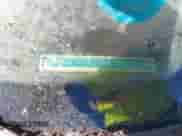 1989 Honda Accord с VIN 1HGCA5637KA120630, выставлен на аукционе IAAI как лот 43525654 с пробегом 140 692 миль миль и . История ставок и продаж доступна на DreamBid. Изображение 9.