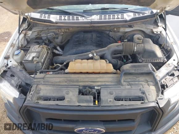 2015 Ford F-150 XL z VIN 1FTEX1CG0FFA13823, wystawiony jako IAAI lot #43047608 z przebiegiem 212 622 mil mil oraz . Historia ofert i sprzedaży dostępna na DreamBid. Obrazek 17.