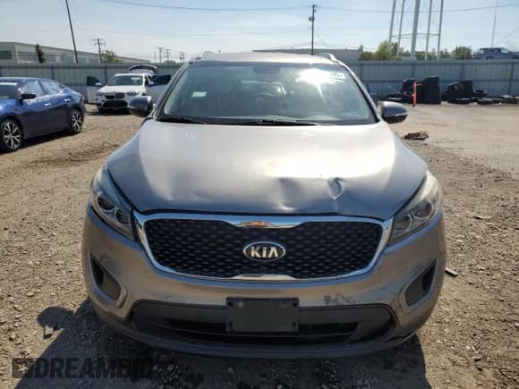 2016 Kia Sorento L with VIN 5XYPG4A35GG106619, listed as a Copart auction lot 81016095 with 73,531 mi miles and Salvage title. Bid and sale history available at DreamBid. Image 5.