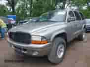 1999 Dodge Durango with VIN 1B4HS28Y2XF684492, listed as a IAAI auction lot 42406259 with 241,447 mi miles and . Bid and sale history available at DreamBid. Image 6.