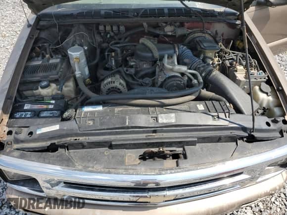 1996 Chevrolet S-10 with VIN 1GCCS14X3TK166414, listed as a Copart auction lot 80153335 with 234,617 mi miles and Salvage title. Bid and sale history available at DreamBid. Image 11.