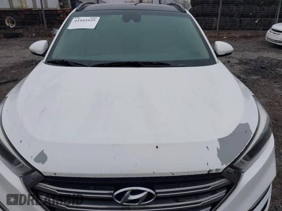 2018 Hyundai Tucson Value с VIN KM8J3CA2XJU646262, выставлен на аукционе IAAI как лот 41955929 с пробегом Не указан миль и . История ставок и продаж доступна на DreamBid. Изображение 6.