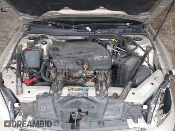 2008 Chevrolet Impala LT z VIN 2G1WC583681215601, wystawiony jako IAAI lot #43241243 z przebiegiem 165 570 mil mil oraz . Historia ofert i sprzedaży dostępna na DreamBid. Obrazek 10.