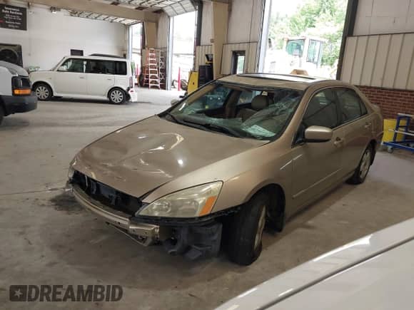 2007 Honda Accord EX-L with VIN 1HGCM56847A135841, listed as a IAAI auction lot 42964242 with 209,524 mi miles and . Bid and sale history available at DreamBid. Image 16.