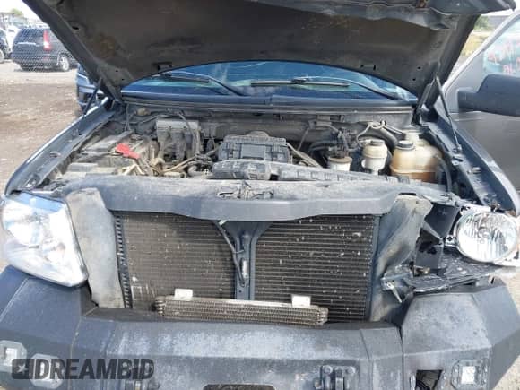 2005 Ford F-150 XLT with VIN 1FTPX14575FA86014, listed as a IAAI auction lot 43193154 with 171,713 mi miles and . Bid and sale history available at DreamBid. Image 10.