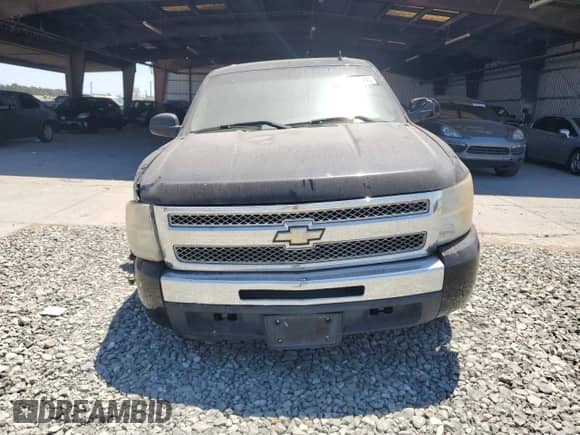 2009 Chevrolet Silverado 1500 LS with VIN 3GCEC13C49G282290, listed as a Copart auction lot 64692935 with Not provided miles and Salvage title. Bid and sale history available at DreamBid. Image 5.
