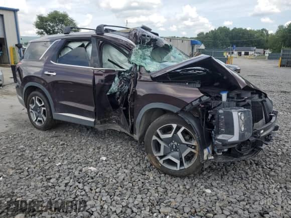 2024 Hyundai Palisade SEL с VIN KM8R4DGE9RU776634, выставлен на аукционе Copart как лот 64207275 с пробегом Не указан миль и Списание • Salvage title. История ставок и продаж доступна на DreamBid. Изображение 4.