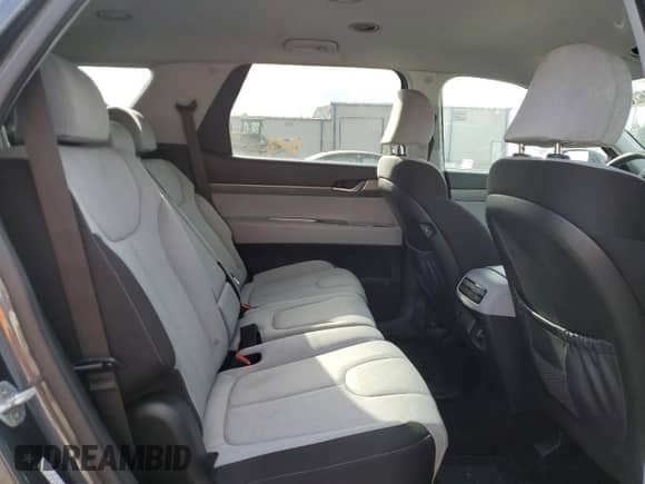 2020 Hyundai Palisade SE с VIN KM8R14HE0LU064057, выставлен на аукционе Copart как лот 52162665 с пробегом 74 347 миль миль и Списание • Salvage title. История ставок и продаж доступна на DreamBid. Изображение 11.