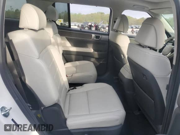 2025 Hyundai Santa Fe Calligraphy с VIN 5NMP54G17SH030623, выставлен на аукционе Copart как лот 50802195 с пробегом 3 076 миль миль и Списание • Salvage title. История ставок и продаж доступна на DreamBid. Изображение 11.