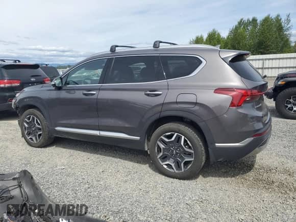 2022 Hyundai Santa Fe Limited with VIN KM8S5DA13NU026886, listed as a Copart auction lot 61783225 with 46,643 mi miles and Salvage title. Bid and sale history available at DreamBid. Image 2.