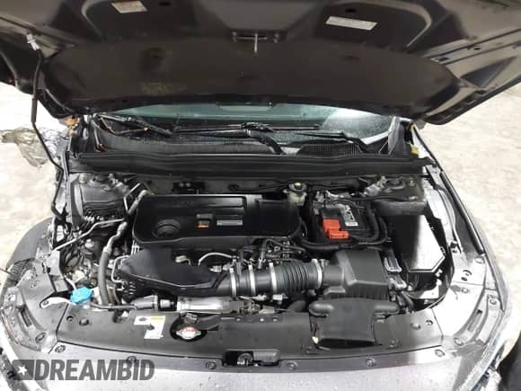 2019 Honda Accord Touring with VIN 1HGCV2F99KA031634, listed as a IAAI auction lot 41209019 with 74,965 mi miles and . Bid and sale history available at DreamBid. Image 10.