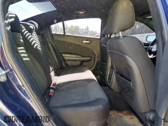 2015 Dodge Charger SE with VIN 2C3CDXBG8FH790712, listed as a Copart auction lot 82645435 with 187,994 mi miles and Clean title. Bid and sale history available at DreamBid. Image 10.