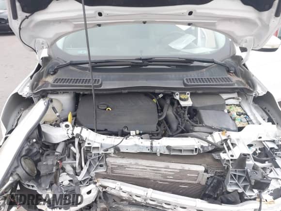 2017 Ford Escape Titanium with VIN 1FMCU9JD1HUC79837, listed as a IAAI auction lot 43172689 with 130,309 mi miles and . Bid and sale history available at DreamBid. Image 10.