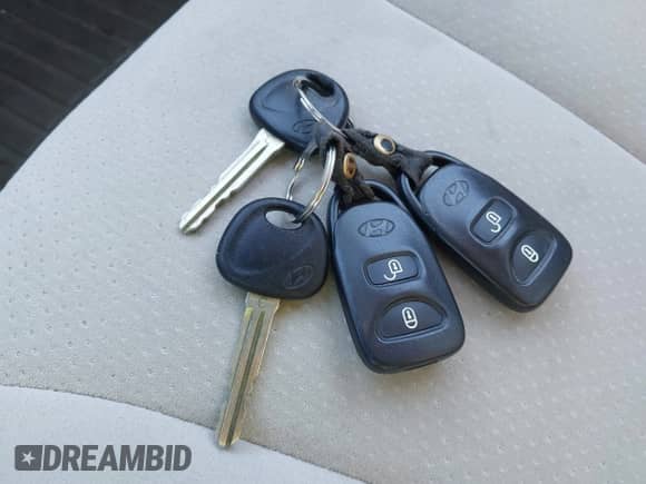 2009 Hyundai Santa Fe SE with VIN 5NMSH13E79H255563, listed as a IAAI auction lot 43142076 with 195,510 mi miles and . Bid and sale history available at DreamBid. Image 11.