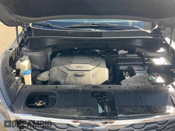 2019 Kia Sorento EX with VIN 5XYPHDA53KG515371, listed as a IAAI auction lot 43547484 with 179,917 mi miles and . Bid and sale history available at DreamBid. Image 10.