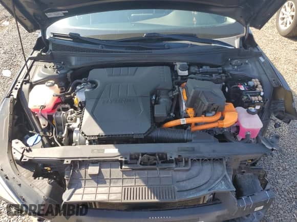 2021 Hyundai Elantra Limited с VIN KMHLN4AJ3MU006012, выставлен на аукционе Copart как лот 66465565 с пробегом 101 778 миль миль и Списание • Salvage title. История ставок и продаж доступна на DreamBid. Изображение 11.