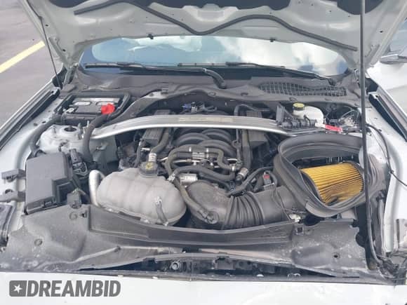 2021 Ford Mustang GT with VIN 1FA6P8CF7M5128125, listed as a IAAI auction lot 42462614 with 31,518 mi miles and . Bid and sale history available at DreamBid. Image 10.