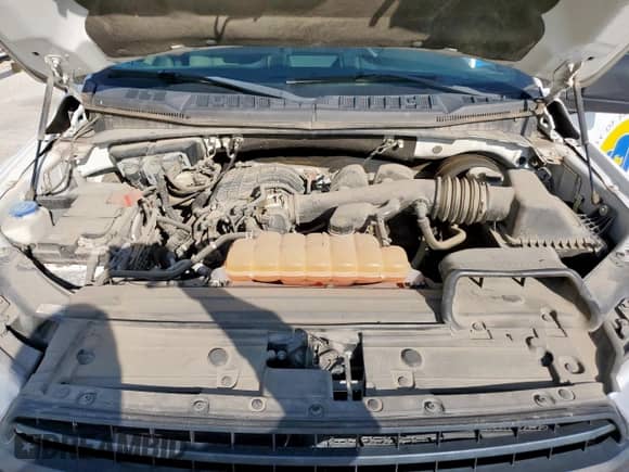 2018 Ford F-150 XL with VIN 1FTEX1CB2JKD38414, listed as a Copart auction lot 80480605 with 43,405 mi miles and Salvage title. Bid and sale history available at DreamBid. Image 11.