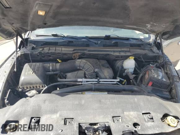 2009 Dodge 1500 Laramie with VIN 1D3HV13T09J505079, listed as a Copart auction lot 59685915 with Not provided miles and Salvage title. Bid and sale history available at DreamBid. Image 11.