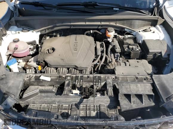 2024 Kia Sorento S with VIN 5XYRLDJC1RG274507, listed as a Copart auction lot 84454085 with 34,629 mi miles and Salvage title. Bid and sale history available at DreamBid. Image 12.