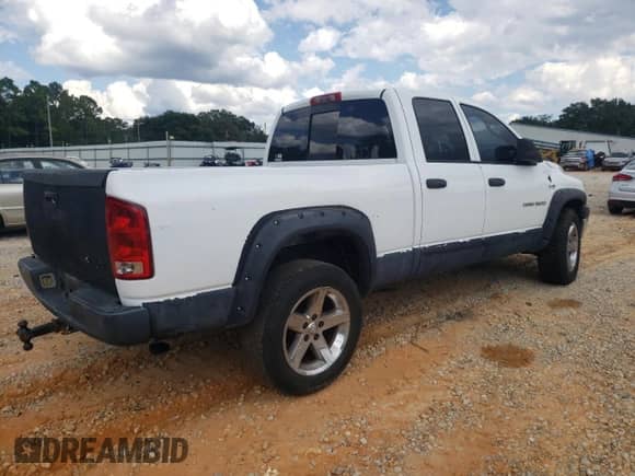 2006 Dodge 1500 SLT с VIN 1D7HU18246S670771, выставлен на аукционе Copart как лот 83779815 с пробегом 259 474 миль миль и Списание • Salvage title. История ставок и продаж доступна на DreamBid. Изображение 3.