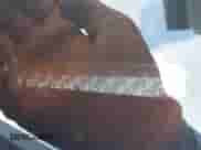 2022 Honda Pilot EX-L с VIN 5FNYF6H53NB023298, выставлен на аукционе IAAI как лот 42255379 с пробегом 38 382 миль миль и . История ставок и продаж доступна на DreamBid. Изображение 9.