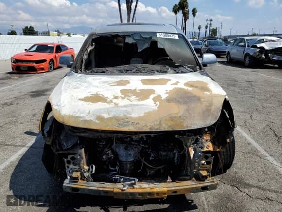 2007 Hyundai Veracruz GLS with VIN KM8NU13C87U026690, listed as a Copart auction lot 81300425 with Not provided miles and Salvage title. Bid and sale history available at DreamBid. Image 5.