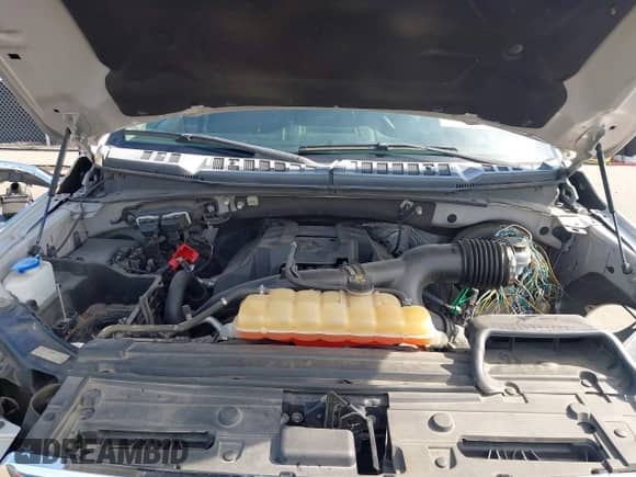 2017 Ford F-150 XL z VIN 1FTEW1CP8HKD38782, wystawiony jako IAAI lot #43161250 z przebiegiem 148 289 mil mil oraz . Historia ofert i sprzedaży dostępna na DreamBid. Obrazek 10.