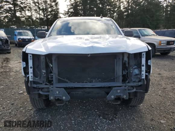 2017 Chevrolet Silverado 1500 Work Truck with VIN 1GCNCNEH7HZ106168, listed as a Copart auction lot 48493565 with 250,332 mi miles and Salvage title. Bid and sale history available at DreamBid. Image 5.