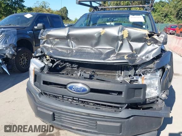 2018 Ford F-150 XL z VIN 1FTMF1CB8JKC19801, wystawiony jako IAAI lot #43383459 z przebiegiem 138 363 mil mil oraz . Historia ofert i sprzedaży dostępna na DreamBid. Obrazek 6.