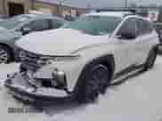 2023 Hyundai Tucson XRT with VIN KM8JFCAE2PU193023, listed as a IAAI auction lot 41510061 with 21,066 mi miles and . Bid and sale history available at DreamBid. Image 2.