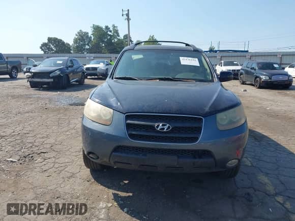 2007 Hyundai Santa Fe SE with VIN 5NMSH13E97H052817, listed as a IAAI auction lot 43136191 with 265,353 mi miles and . Bid and sale history available at DreamBid. Image 12.