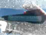 2020 Hyundai Elantra SEL with VIN 5NPD84LF3LH521643, listed as a IAAI auction lot 38474561 with 49,928 mi miles and . Bid and sale history available at DreamBid. Image 9.