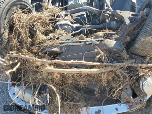 2003 Ford F-150 XL with VIN 2FTPF18L03CA65350, listed as a Copart auction lot 76606374 with Not provided miles and Salvage title. Bid and sale history available at DreamBid. Image 11.