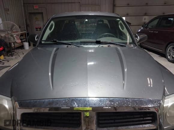 2005 Dodge Dakota SLT with VIN 1D7HE42KX5S193933, listed as a IAAI auction lot 42146056 with Not provided miles and . Bid and sale history available at DreamBid. Image 14.