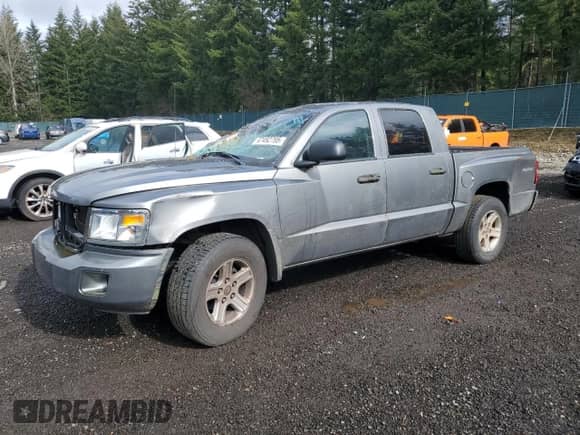 2010 Dodge Dakota Bighorn/Lonestar with VIN 1D7CW3GK4AS230530, listed as a Copart auction lot 47492795 with 160,928 mi miles and Salvage title. Bid and sale history available at DreamBid. Image 1.