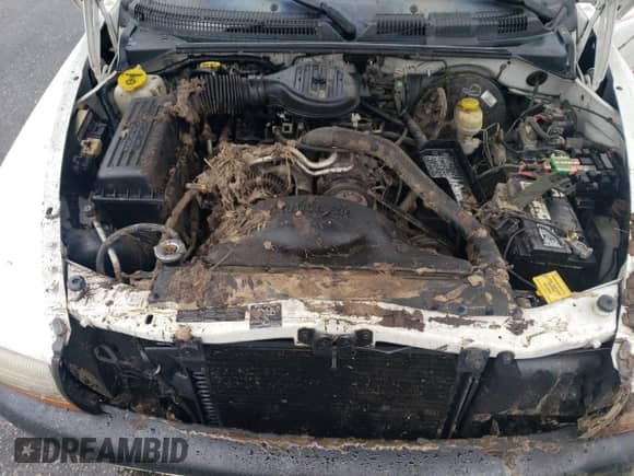 1998 Dodge Dakota SLT с VIN 1B7GL22X6WS693570, выставлен на аукционе Copart как лот 52000825 с пробегом 125 985 миль миль и Списание • Salvage title. История ставок и продаж доступна на DreamBid. Изображение 13.