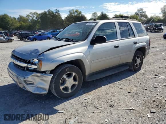 2007 Chevrolet TrailBlazer LS с VIN 1GNDT13S472269071, выставлен на аукционе Copart как лот 81902975 с пробегом 131 345 миль миль и Списание • Salvage title. История ставок и продаж доступна на DreamBid. Изображение 1.
