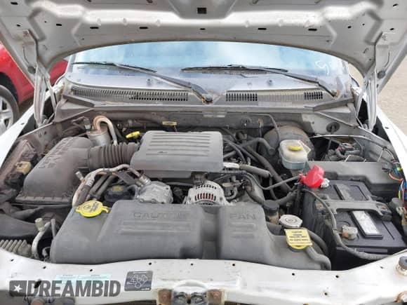 2001 Dodge Dakota Sport with VIN 1B7HG2AN31S285092, listed as a IAAI auction lot 42530577 with 101,975 mi miles and . Bid and sale history available at DreamBid. Image 10.
