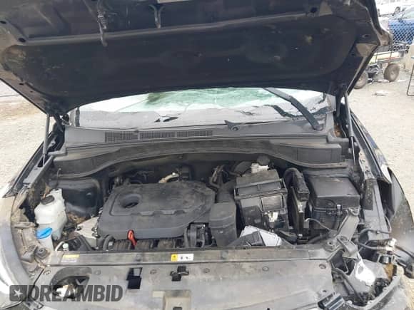 2017 Hyundai Santa Fe 2.4L with VIN 5NMZUDLB7HH008981, listed as a IAAI auction lot 43303448 with 72,647 mi miles and . Bid and sale history available at DreamBid. Image 10.