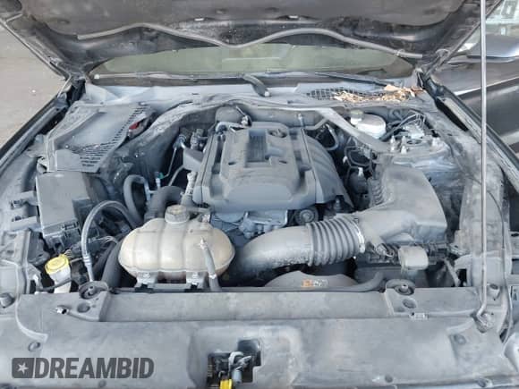 2017 Ford Mustang EcoBoost Premium с VIN 1FATP8UH9H5307646, выставлен на аукционе IAAI как лот 42926727 с пробегом 131 052 миль миль и . История ставок и продаж доступна на DreamBid. Изображение 10.
