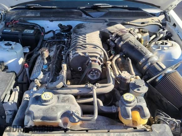 2009 Ford Mustang Shelby GT500 с VIN 1ZVHT88S395134593, выставлен на аукционе Copart как лот 67048955 с пробегом 48 924 миль миль и Чистый • Clean title. История ставок и продаж доступна на DreamBid. Изображение 7.