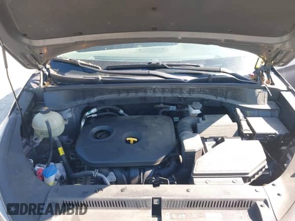 2020 Hyundai Tucson Value with VIN KM8J3CA44LU181272, listed as a IAAI auction lot 42341886 with 106,098 mi miles and . Bid and sale history available at DreamBid. Image 10.