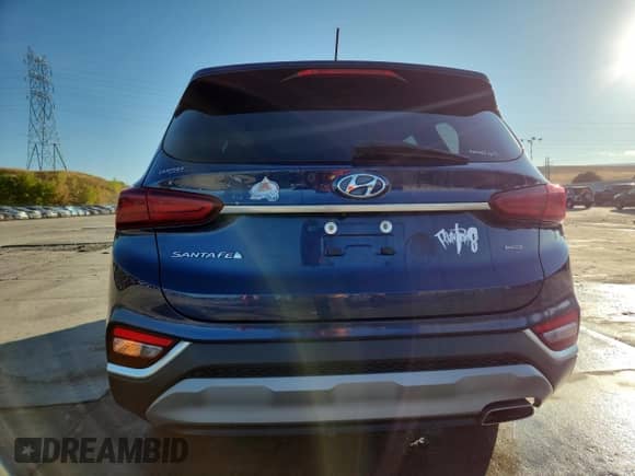 2019 Hyundai Santa Fe SE with VIN 5NMS2CAD7KH120905, listed as a Copart auction lot 84202275 with 149,043 mi miles and Salvage title. Bid and sale history available at DreamBid. Image 6.