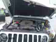 2021 Jeep Wrangler Unlimited Sahara with VIN 1C4JJXP63MW723803, listed as a IAAI auction lot 42395934 with 72,814 mi miles and . Bid and sale history available at DreamBid. Image 10.